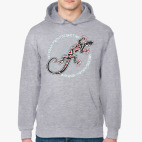 Саламандра