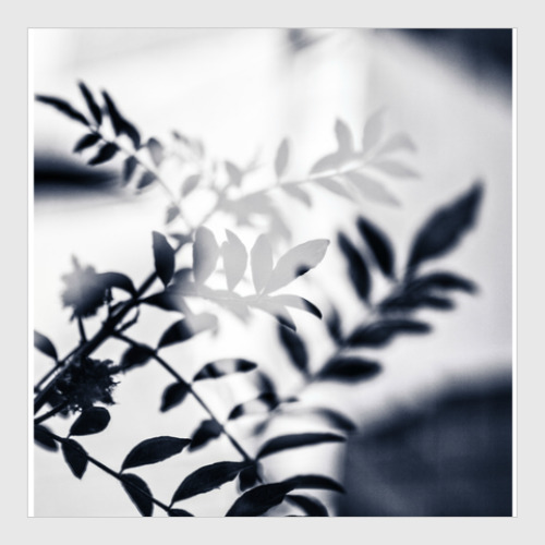 Постер с принтом Black leaves