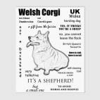 Холст 60 х 75 см Corgi. FAQ