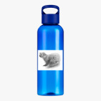 Прозрачная спортивная бутылка