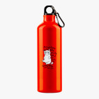 Металлическая бутылка 700 мл UV-DTF