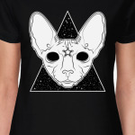 Кот сфинкс познавший Вселенную