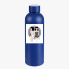 Термобутылка