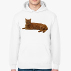 Толстовка худи