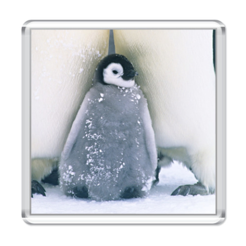 Магнит с принтом Пингвиненок
