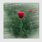 И все таки они вместе