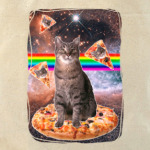 Космический кот