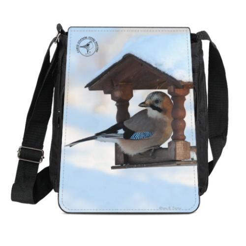 Сумка-планшет с принтом Сойка