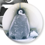  Пингвиненок