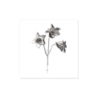 Виниловая наклейка, квадрат (5 х 5 см) Колокольчик