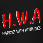 The Hardy Boyz - Team Xtreme - WWE Hardyz