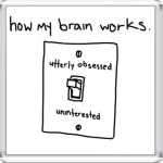  My Brain
