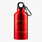 Металлическая бутылка 400 мл UV-DTF