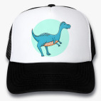 Кепки Trucker