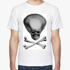 Череп с костями 2