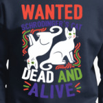 Кот Шрёдингера