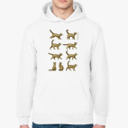 Толстовка худи