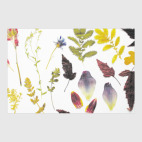 Вечная красота