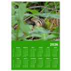 Среди кустов