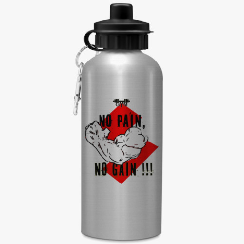 Бутылка с карабином (500 мл) NO PAIN NO GAIN!