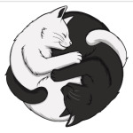 Черный и белый кот инь-ян