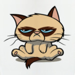Недовольный кот ( Grumpy cat )