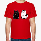 кот и кошка