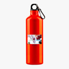 Металлическая бутылка 700 мл UV-DTF