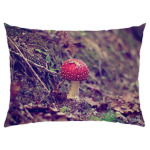 Лесные обитатели