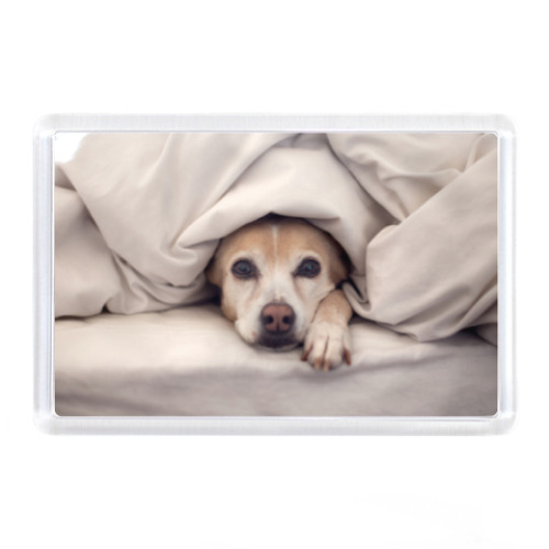 Магнит с принтом Собака