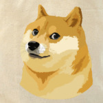 DOGE