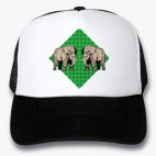 Кепки Trucker