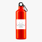 Металлическая бутылка 700 мл UV-DTF