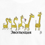  Эволюция жирафов