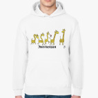 Толстовка худи