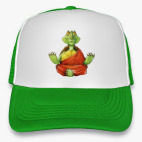 Черепаха на медитации