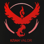 Pokemon Team Клан VALOR