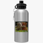 Спортивная бутылка