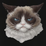 Grumpy Cat / Сердитый Кот