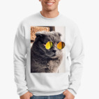 Кот-хитпстер