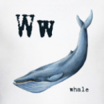 whale-горбатый кит, азбука