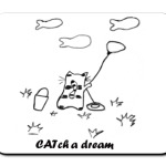 CATch a dream