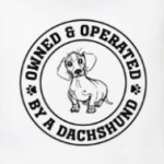 Owned & Operated By Dachshund