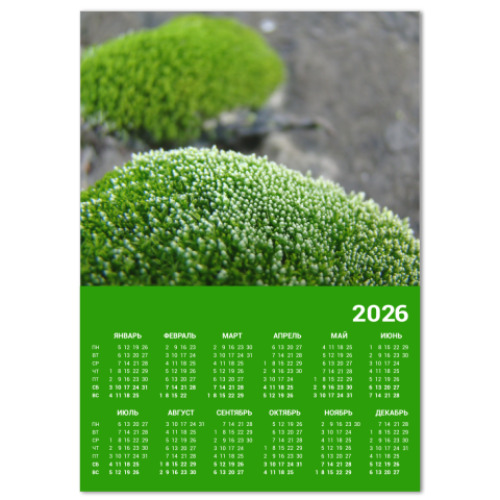 Календарь с принтом 'Мох'