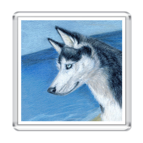 Магнит с принтом хаски