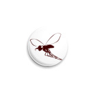 fly