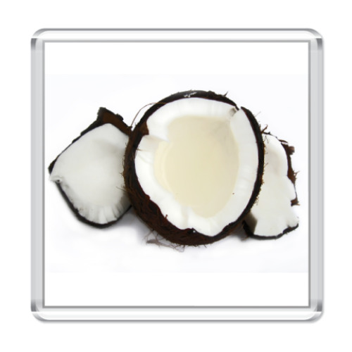 Магнит  Кокос