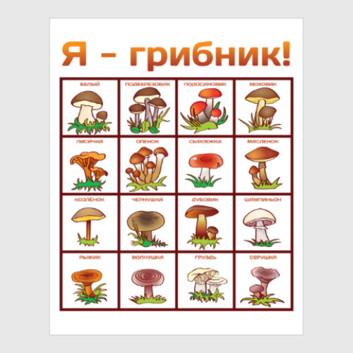 Постер с принтом Я-грибник!