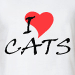 Я люблю кошек