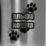 Альфа-кошка